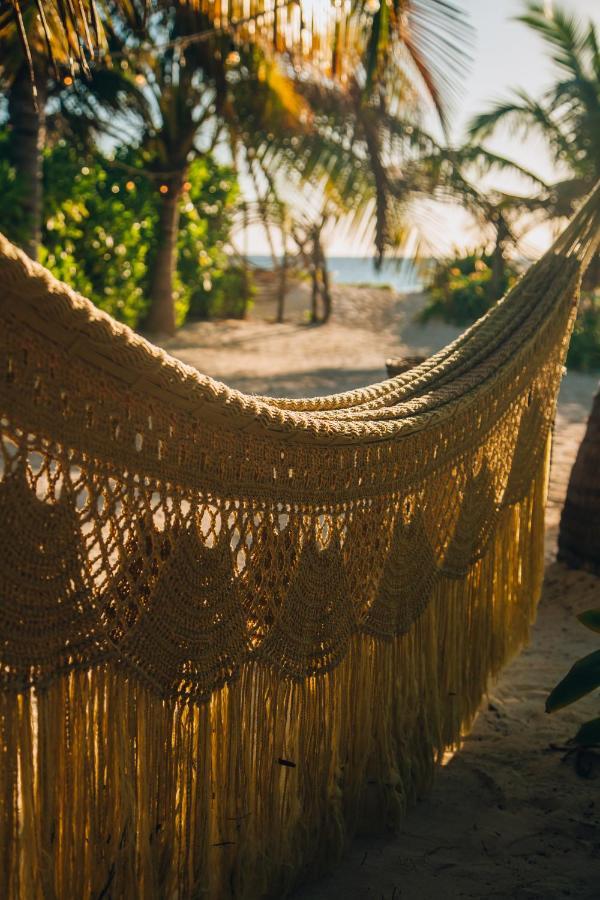 فندق Glamp Ikal تولوم المظهر الخارجي الصورة